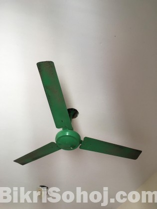 fan